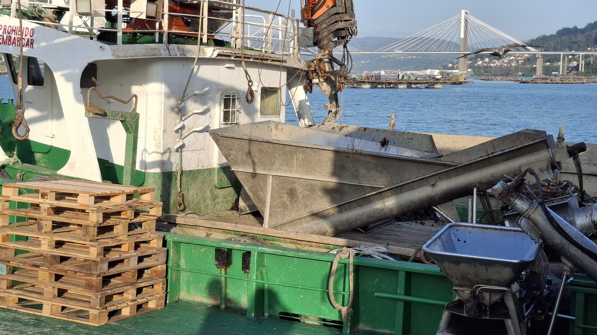 Les producteurs de moules de Galice opposés à l’implantation d’une giga-usine