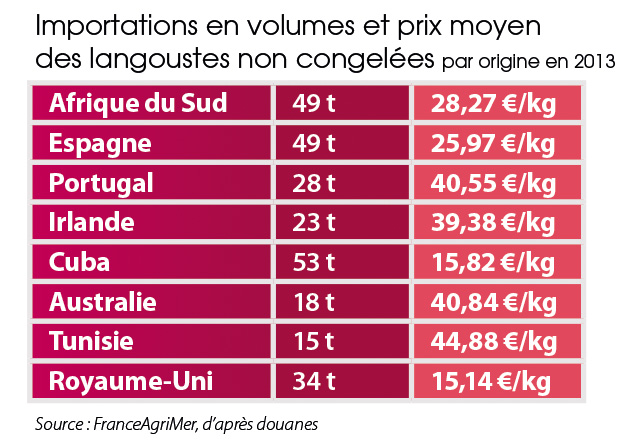 /tl_files/_media/redaction/1-Actualites/Marches/2015/2015-05/TendancesLangouste.jpg