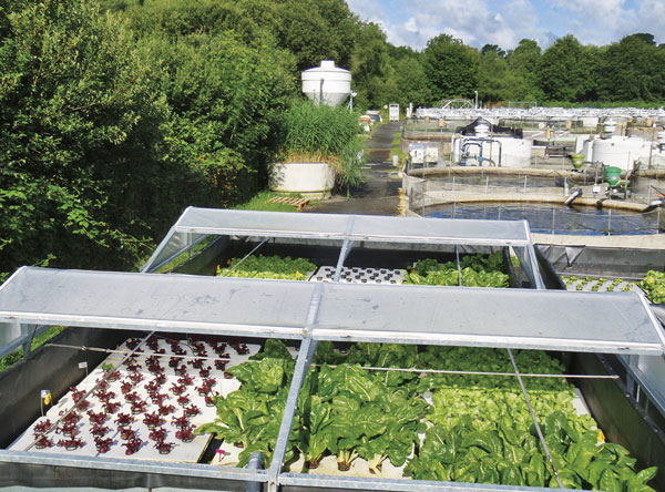 aquaculture et aquaponie INRA