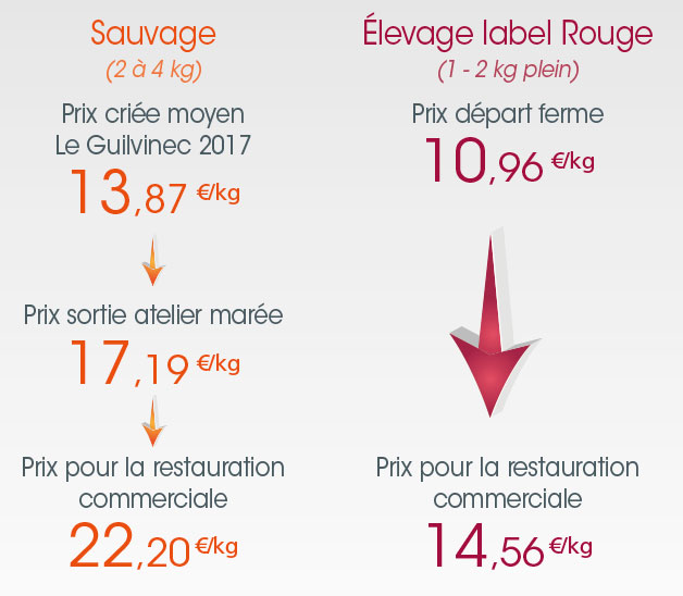 /tl_files/_media/redaction/1-Actualites/Marches/2018/201812/graph_turbot.jpg