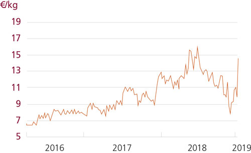 /tl_files/_media/redaction/1-Actualites/Marches/2019/201905/graph_poulpe.jpg