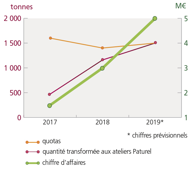 /tl_files/_media/redaction/1-Actualites/Marches/2019/201907/graph concombre.jpg