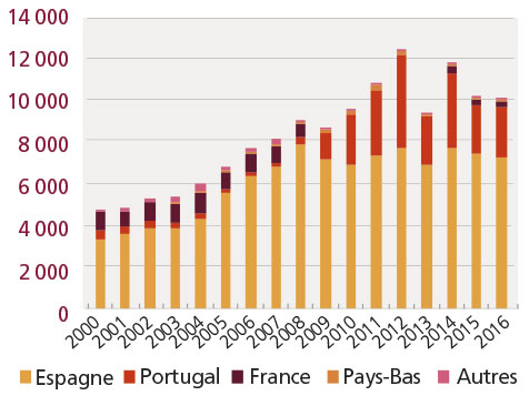 /tl_files/_media/redaction/1-Actualites/Marches/2019/201907/graph-turbot.jpg