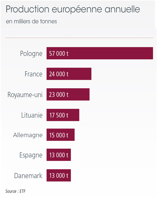 /tl_files/_media/redaction/1-Actualites/Marches/2019/201912/DR_graph-production_europeenne_annuelle.jpg