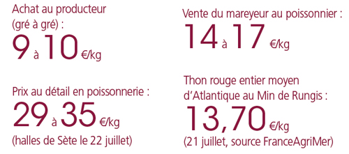 /tl_files/_media/redaction/1-Actualites/Marches/2020/202008/releves_thonrouge.jpg