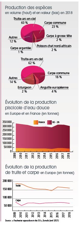 /tl_files/_media/redaction/1-Actualites/Marches/2021/septembre/Tendance_truite_graphiques.JPG