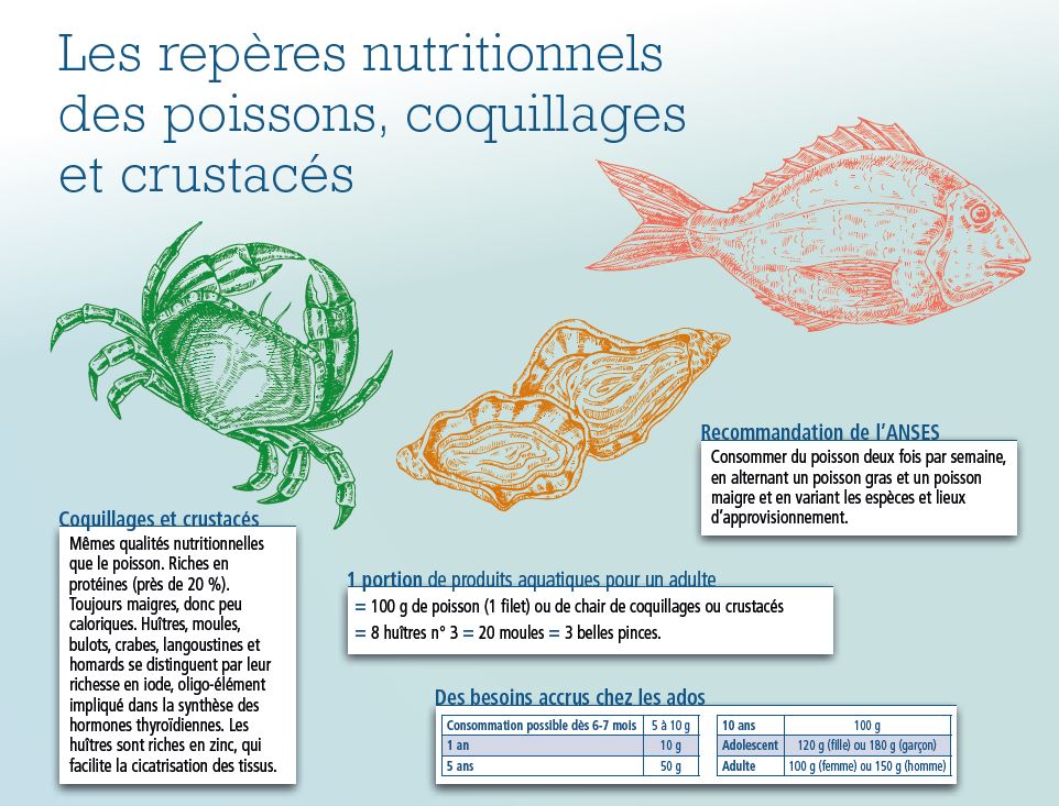 /tl_files/_media/redaction/1-Actualites/Sciences-et-Techniques/2021/décembre/Infographie_crustacés.JPG