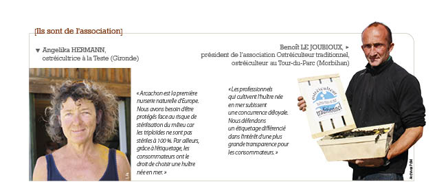 /tl_files/_media/redaction/6-Reportages-et-Decryptages/Decryptages/2015/2015-03/Decryptagestableau.jpg