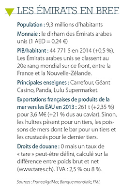 /tl_files/_media/redaction/6-Reportages-et-Decryptages/Decryptages/2015/2015-04/emirats_encadre.jpg
