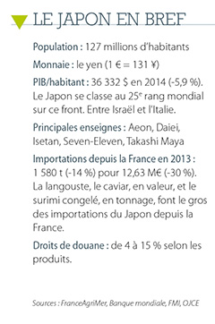 /tl_files/_media/redaction/6-Reportages-et-Decryptages/Decryptages/2015/2015-06/Japonenbref.jpg