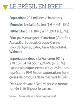 /tl_files/_media/redaction/6-Reportages-et-Decryptages/Decryptages/2015/2015-11/Bresil.png