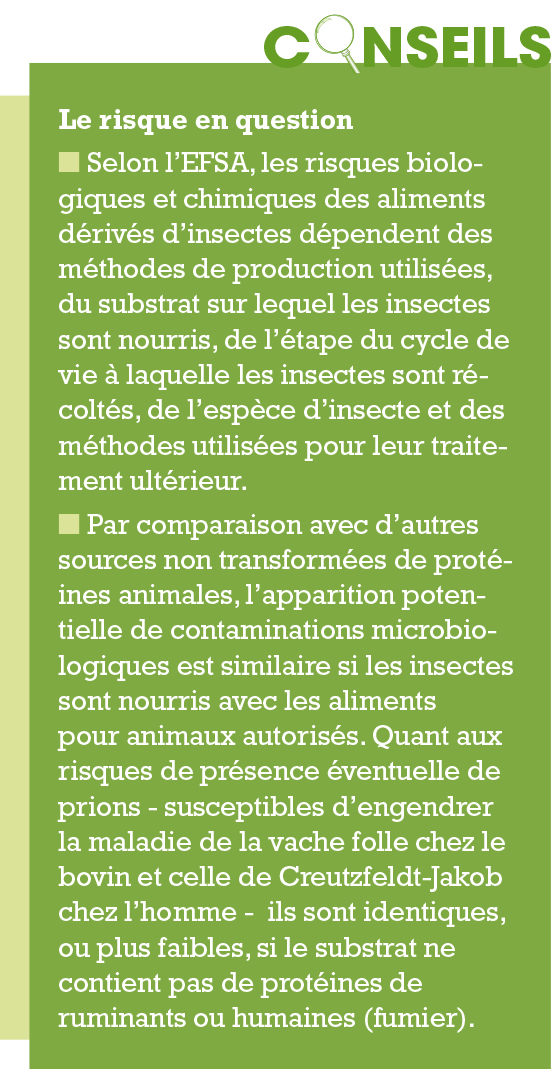 /tl_files/_media/redaction/6-Reportages-et-Decryptages/Decryptages/2017/2017-11/conseilsaqua.jpg